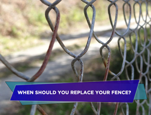When Should You Replace Your Fence?